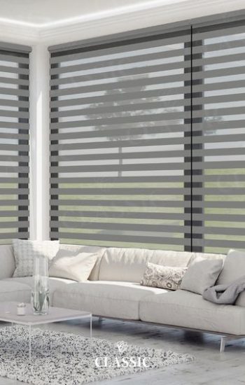 Zebra blinds